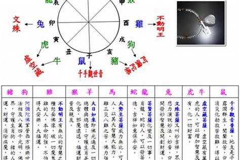 2003五行属什么|2003年属羊是什么命，03年出生五行属什么